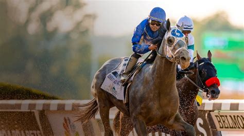 horse racing free live streaming.